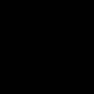 Meet your Posher, Gianine